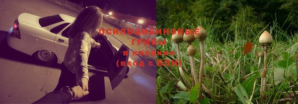 2c-b Верхнеуральск