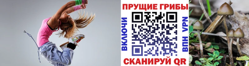 Купить где  Артём  Галлюциногенные грибы Magic Shrooms 